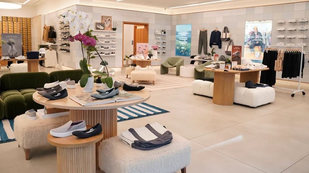 Allbirds İflastan Kurtuldu: Yapay Zeka Devrimi Şirketi Uçurdu