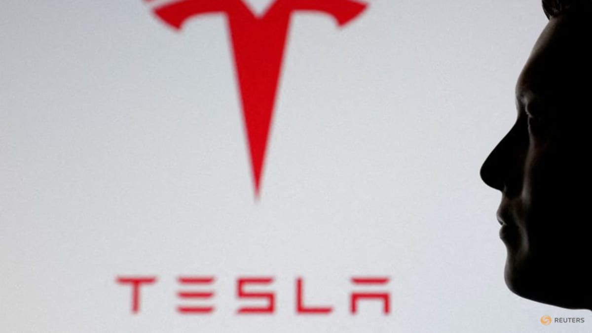 Tesla Robotaksi Ağını Dallas ve Houston'a Genişletiyor